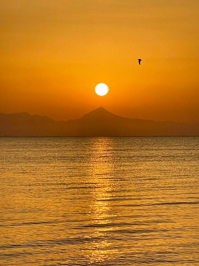 Rosaleda 1 Apartman Denia Kültér fotó